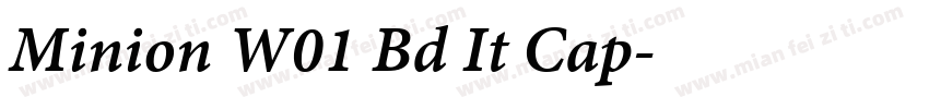 Minion W01 Bd It Cap字体转换